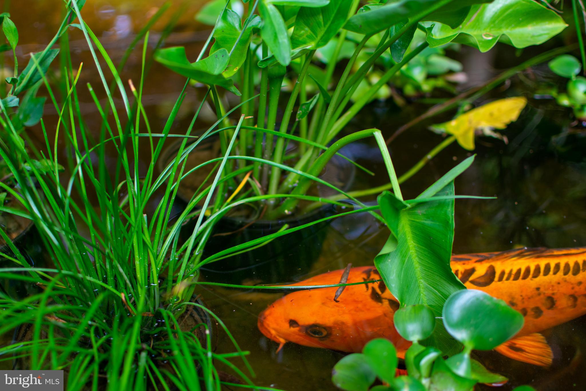 BRADLEY HILLS - Residential