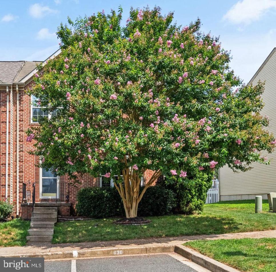 638 BERWICK COURT