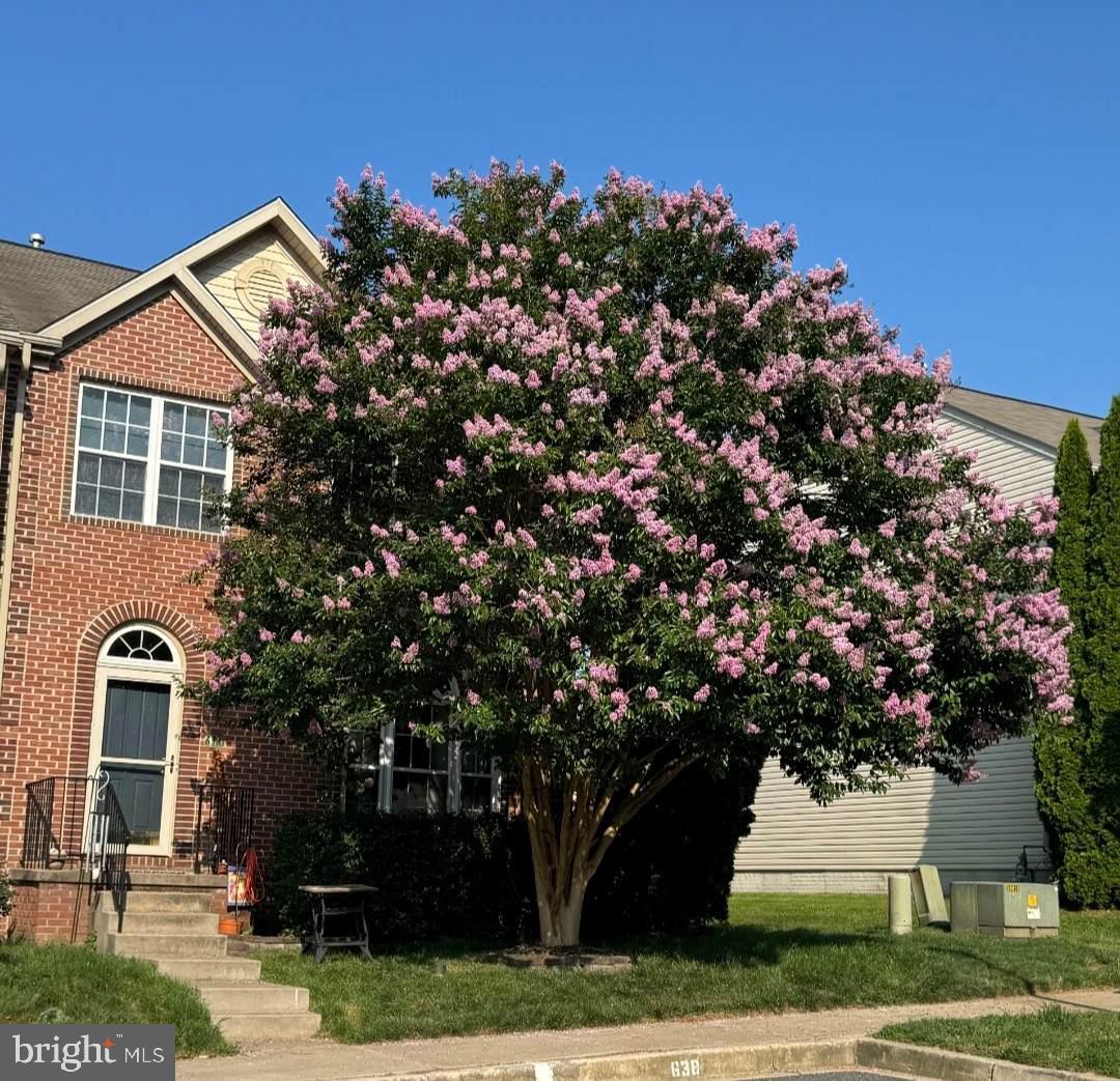 Welcome to this beautifully maintained end of group, brick-front townhome offering one of the largest layouts in the community with a full 3-level bump out in the highly sought after Monmouth Meadows community! This home offers 3 bedrooms, 3.5 baths, and bright, open living spaces, there’s room for everyone to spread out and enjoy.
The main level features an open floor plan with 9ft ceilings and filled with natural light. Enter in to Foyer and Spacious Living Room to the Kitchen which boasts 42" cabinetry, upgraded countertops, a large center island, and stainless-steel appliances, perfect for everyday living and entertaining. Just off the kitchen, the breakfast nook with a cozy pellet stove adds warmth and charm, while the dining rooms flow seamlessly to a spacious Trex deck overlooking the fenced backyard with Black Bear shed.
Upstairs, you'll find three generously sized bedrooms, including a spacious primary suite with vaulted ceilings, a walk-in closet, and a spa-like bath featuring a double vanity, soaking tub, and separate shower. A convenient laundry room is also located on the bedroom level.
The finished lower level offers even more living space, complete with a family room, pellet stove, bonus room/area perfect for a home office or guest space, full bathroom, and a walkout to the backyard.
Recent updates include 1st Floor Flooring (Vinyl Planking) (2025), Deck (2025), Kitchen Appliances: Refrigerator, Dishwasher, Stove & Microwave (2021), HVAC units (2022), Hot Water (2020), Soaker Tub (2021), and freshly paint throughout (2025). Monmouth Meadows offers wonderful amenities including a community pool, clubhouse, and fitness center. All located minutes from I-95, shopping, dining, and the Abingdon Library. This is the perfect place to call home! This home is move-in ready! Schedule your showing today!