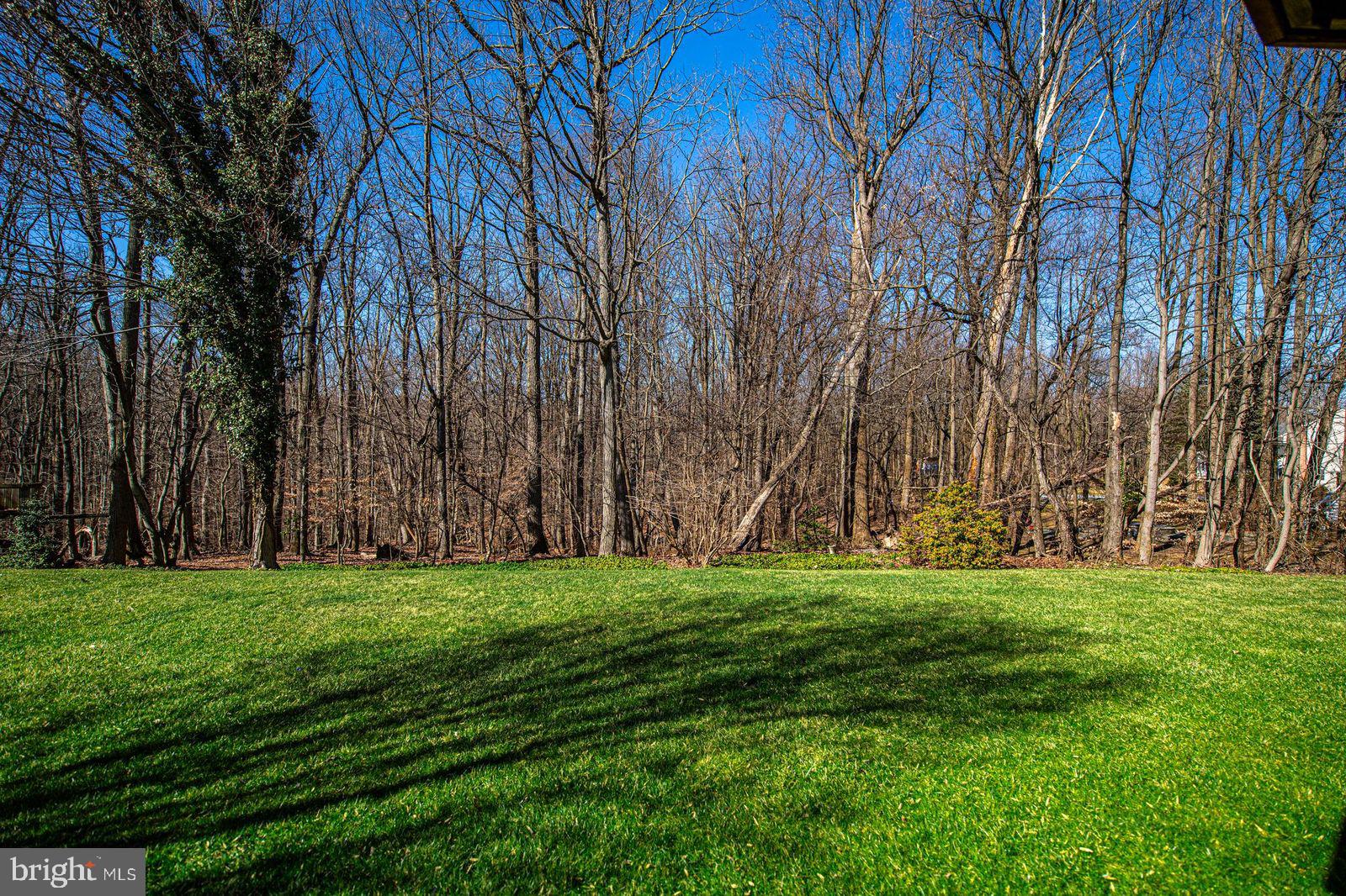 SATYR HILL ESTATES - Residential