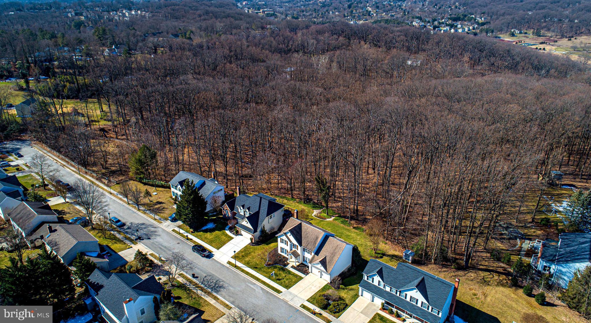 SATYR HILL ESTATES - Residential