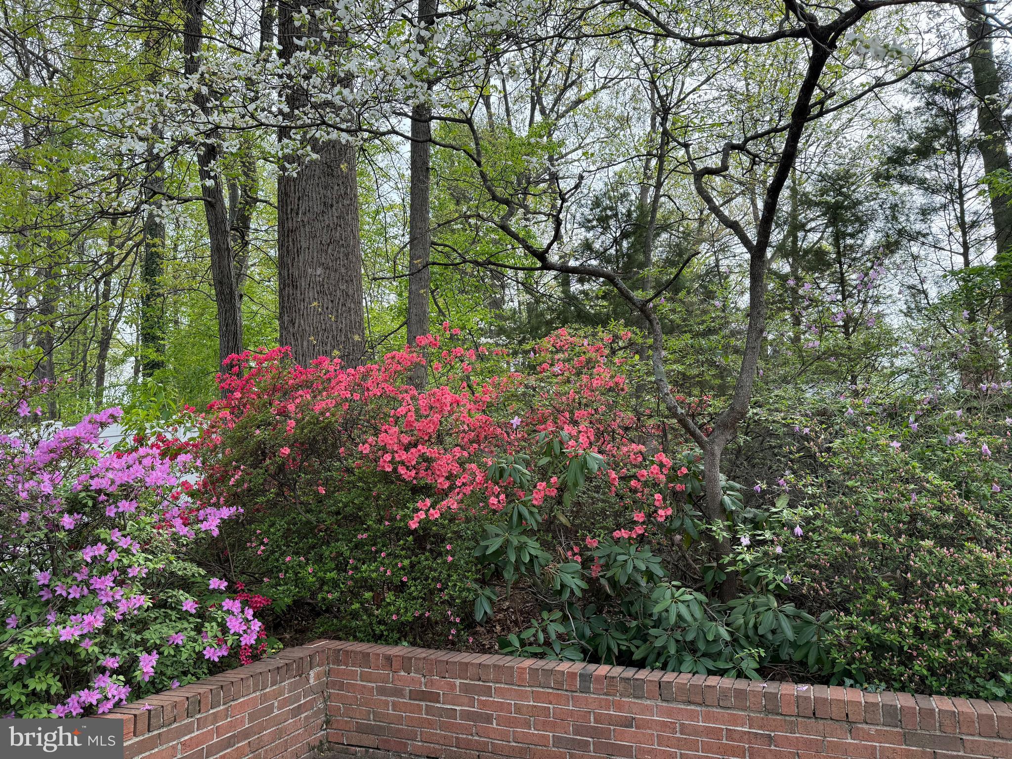 WESTWOOD PARK - Residential