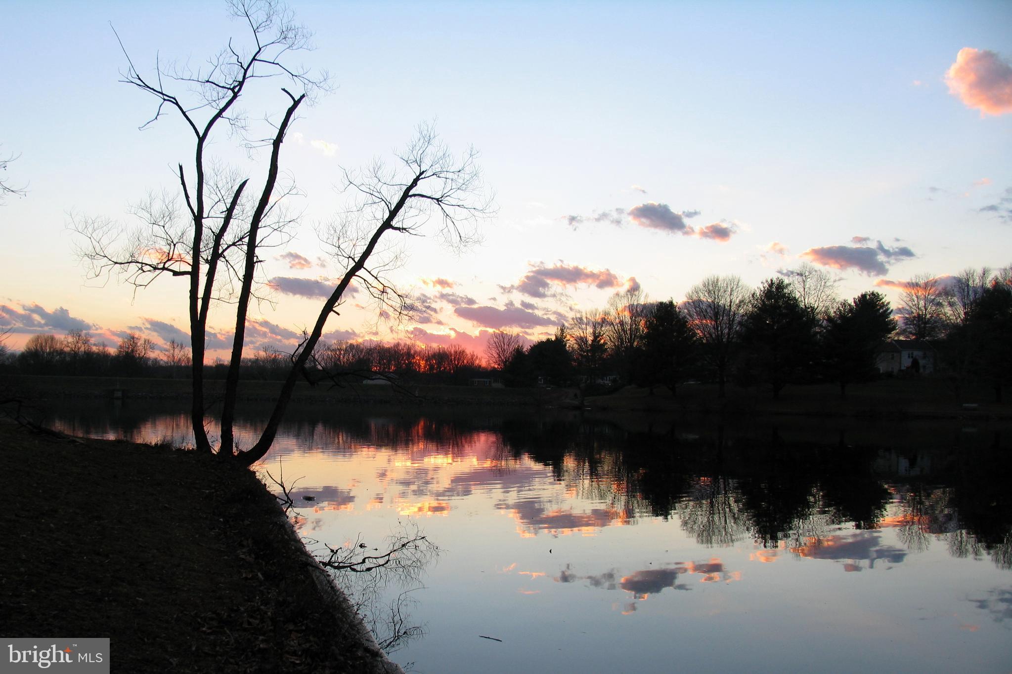 LAKE BRADDOCK - Residential