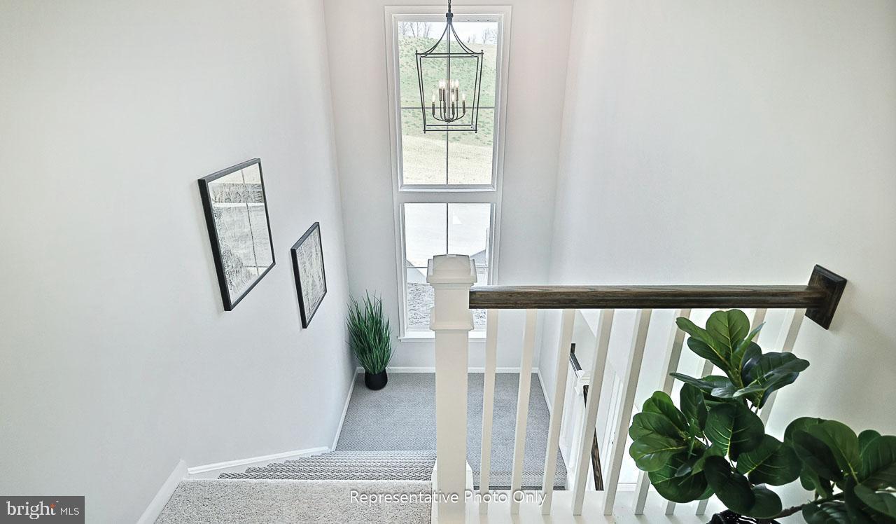 SOUTHGATE - Residential