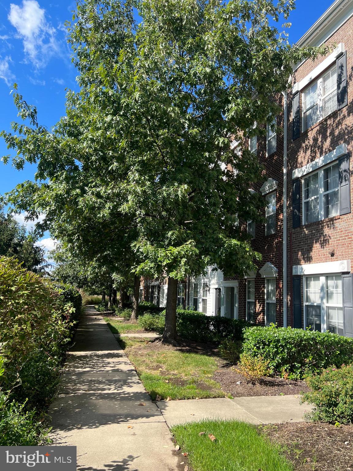 42429 GOLDENSEAL SQUARE