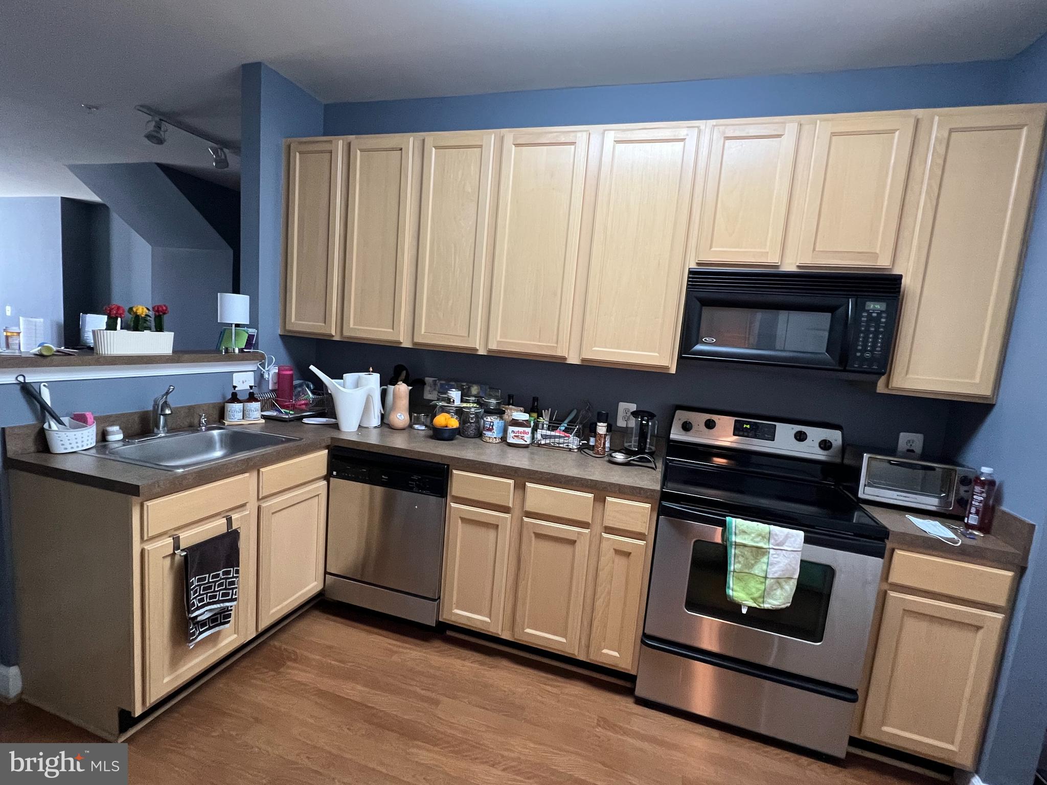 42429 GOLDENSEAL SQUARE