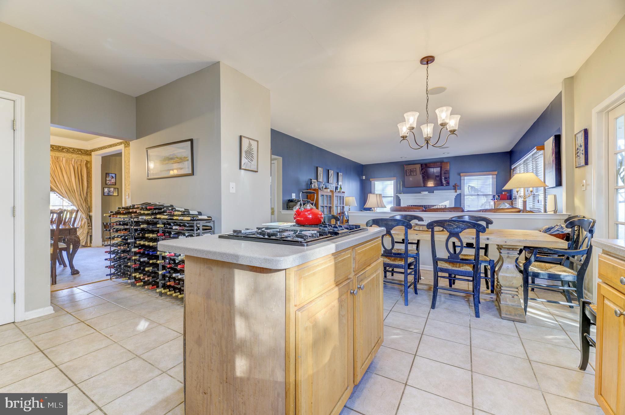 PRESERVE PRINCE WALK - Residential