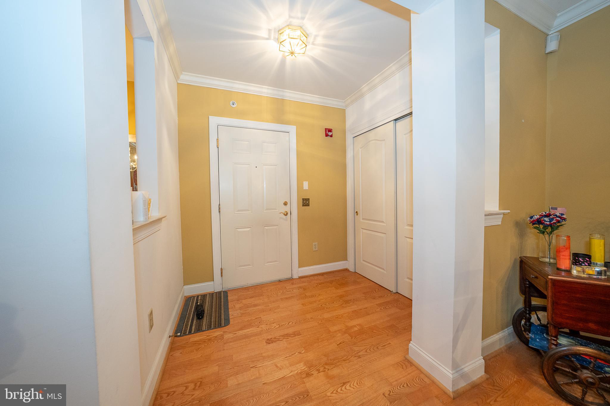 244 BALTIMORE PIKE 119A