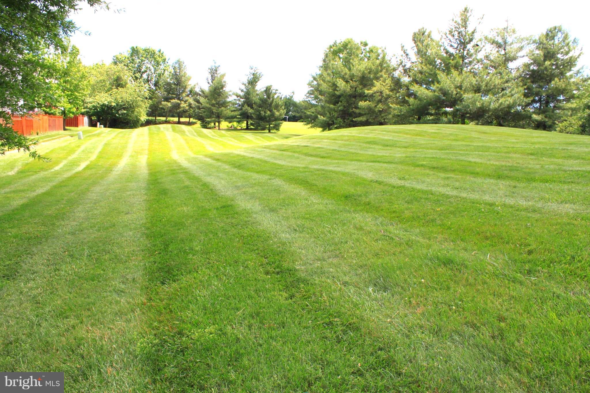 AUTUMN CHASE HUNT - Residential Lease