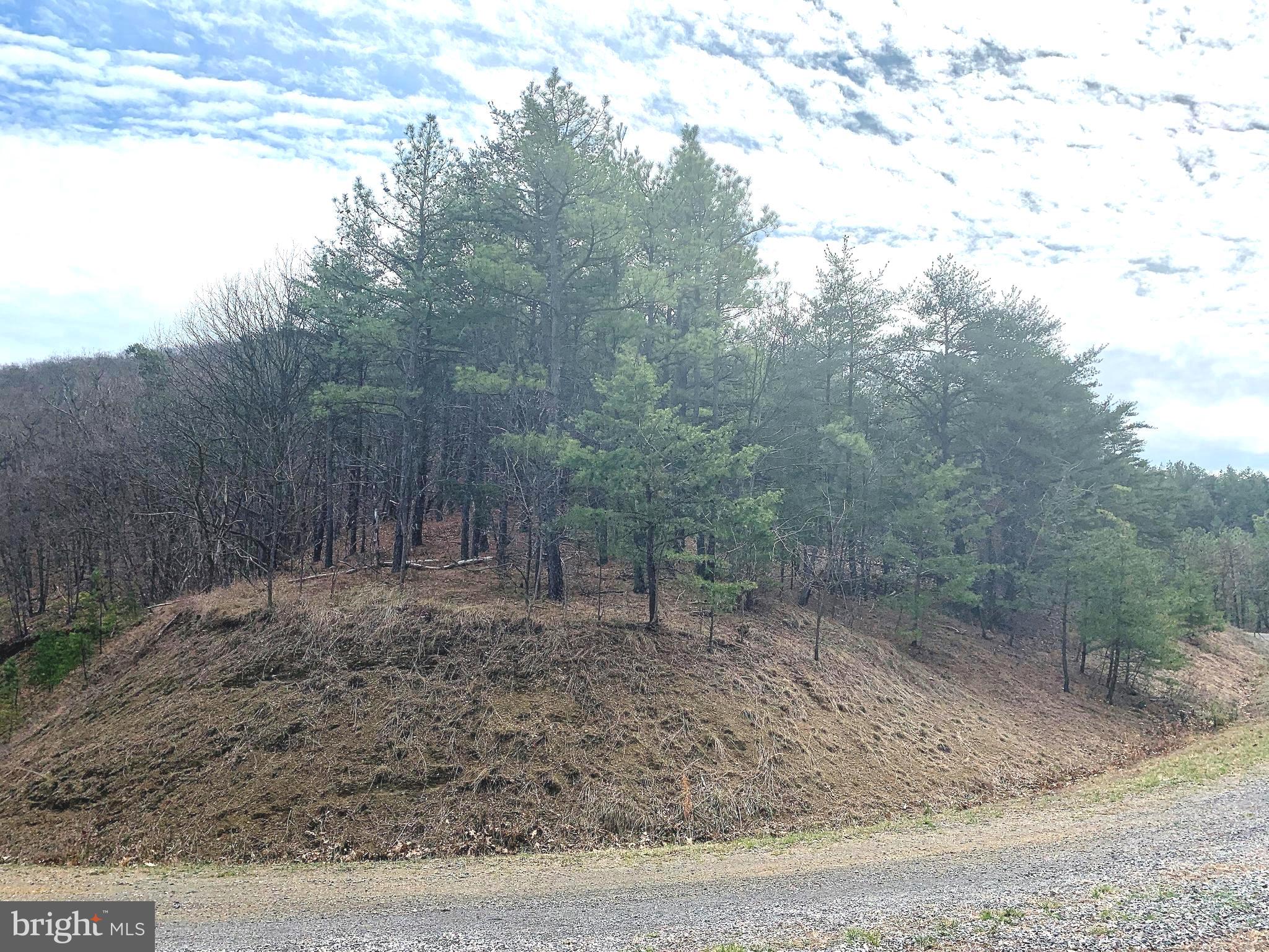 BLUFFS ON THE POTOMAC - Land