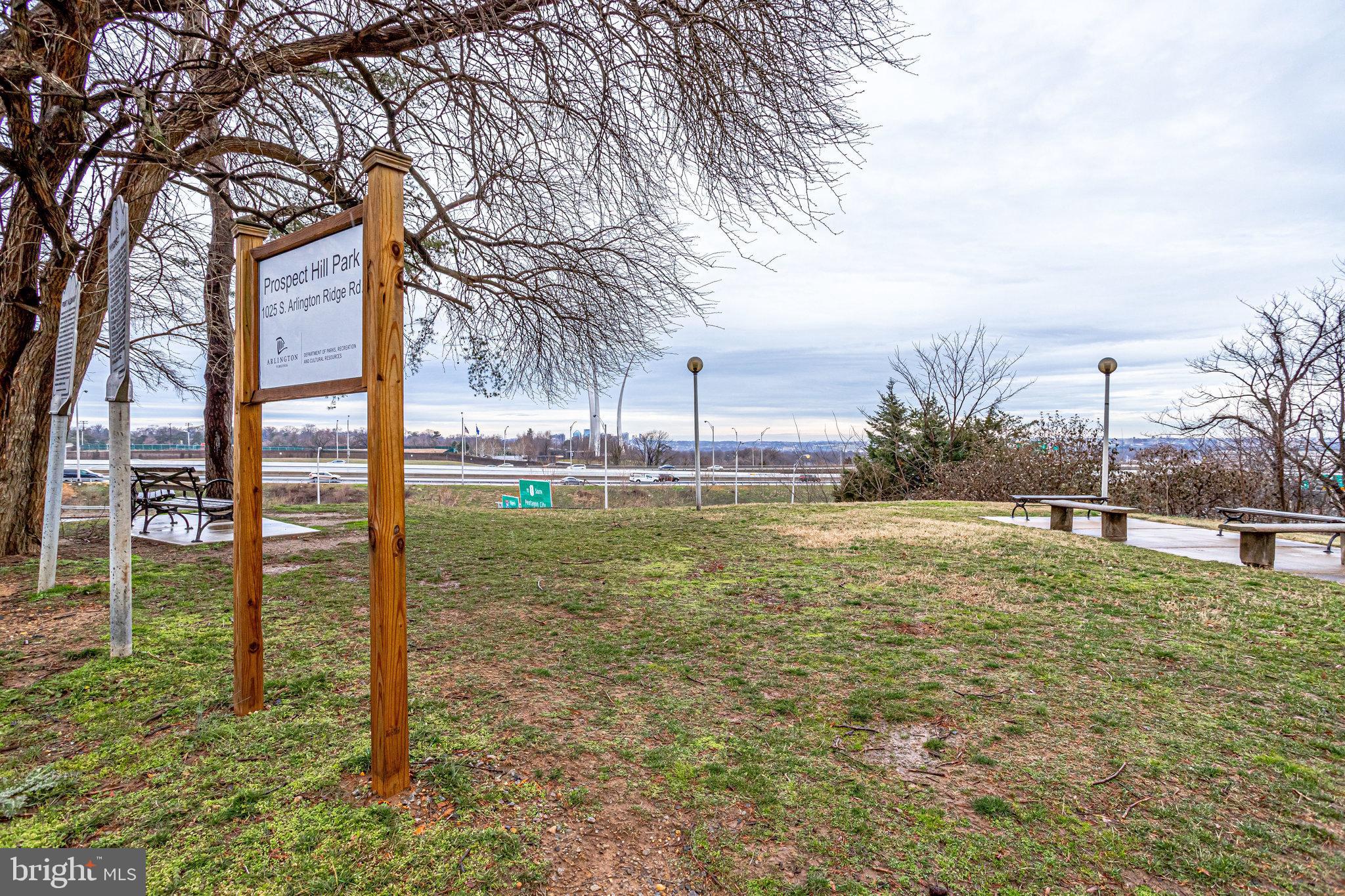 THE REPRESENTATIVE - Residential