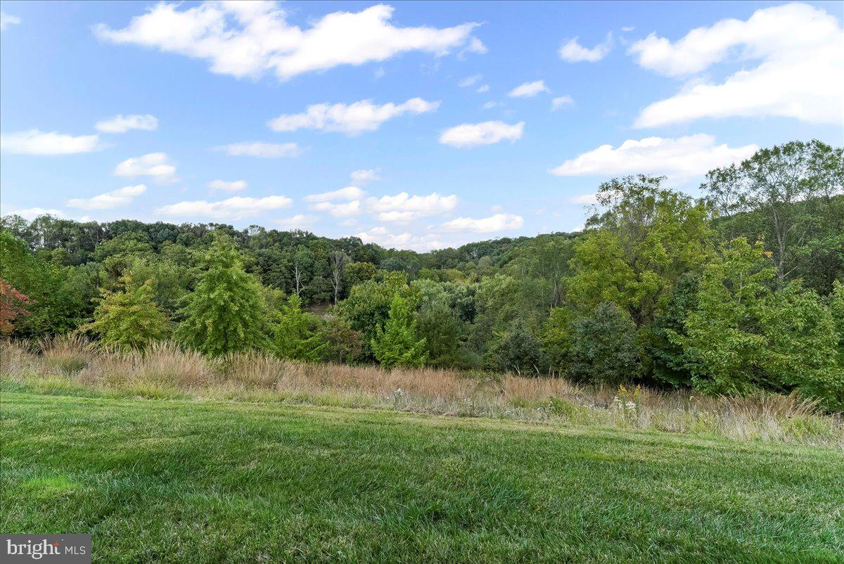 MEADOWVIEW - Residential