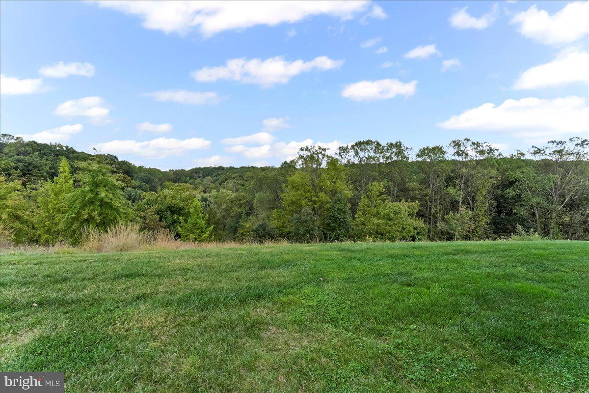 MEADOWVIEW - Residential