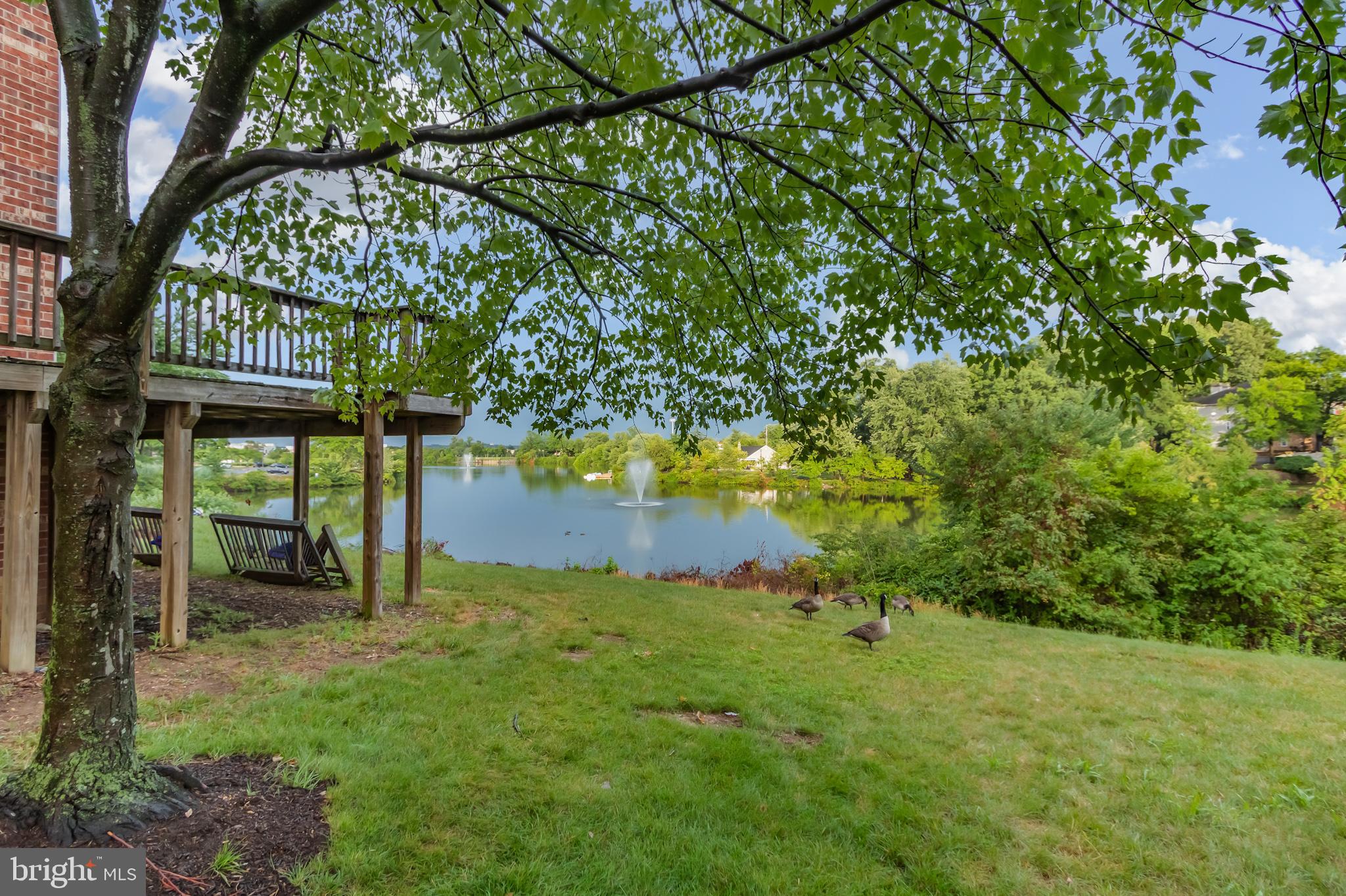 8231 NORTHLAKE COURT