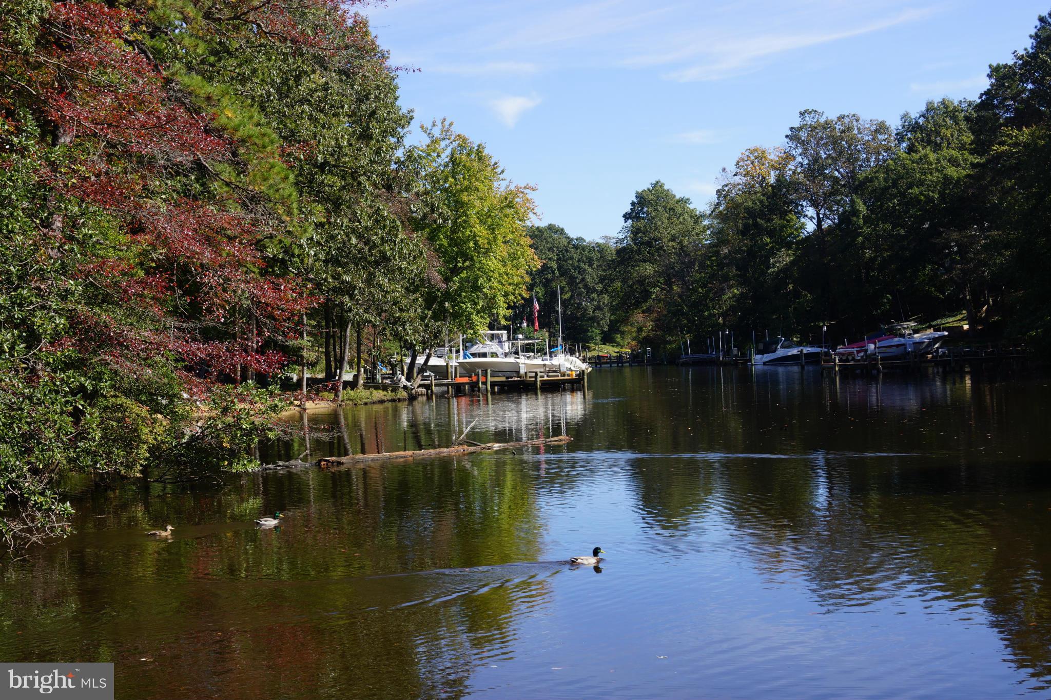 MAGOTHY FOREST - Residential