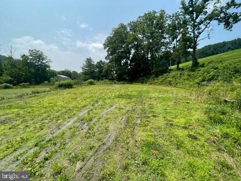 NONE AVAILABLE - Farm