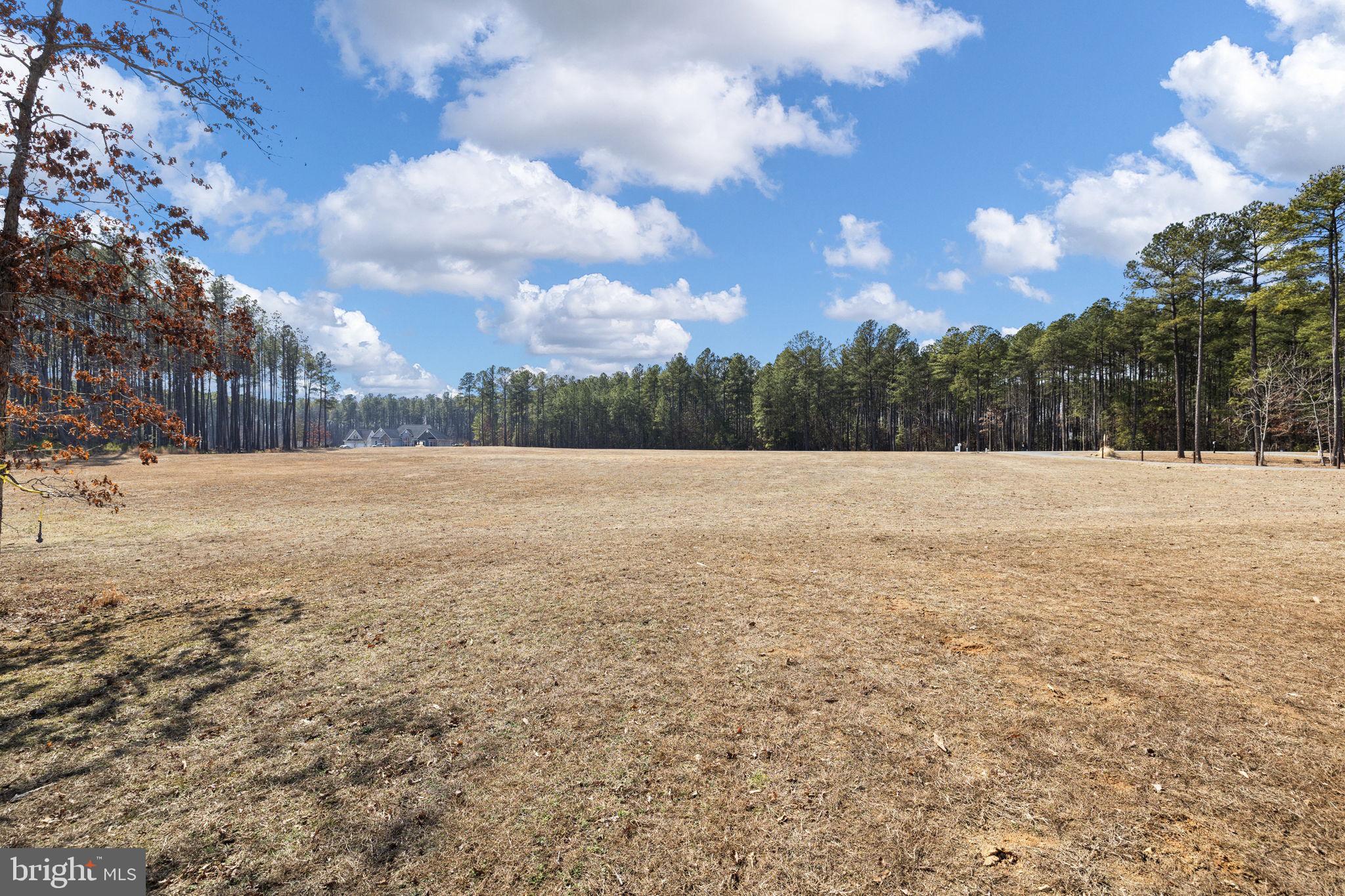 THE WATERS AT LAKE ANNA - Residential