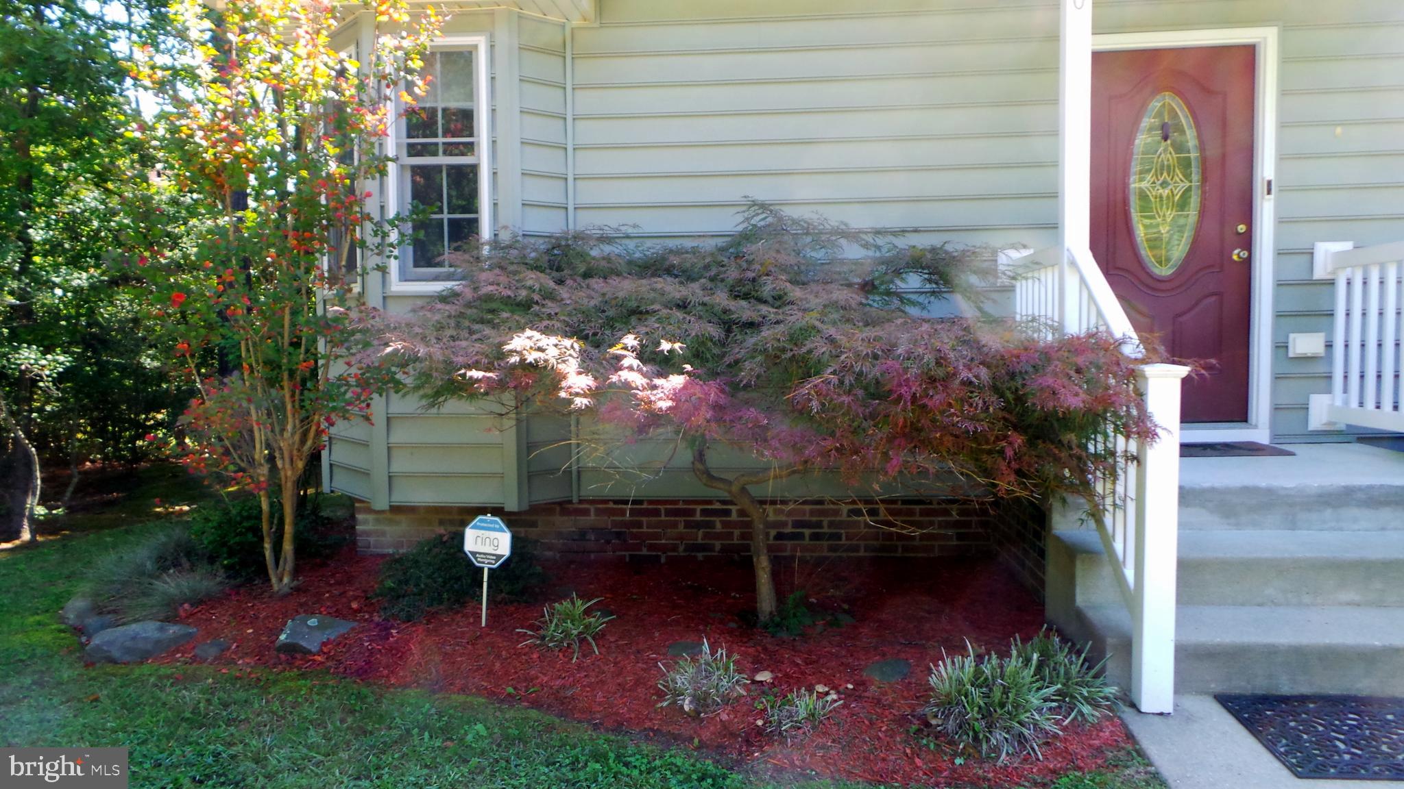 BACK CREEK WOODS - Residential