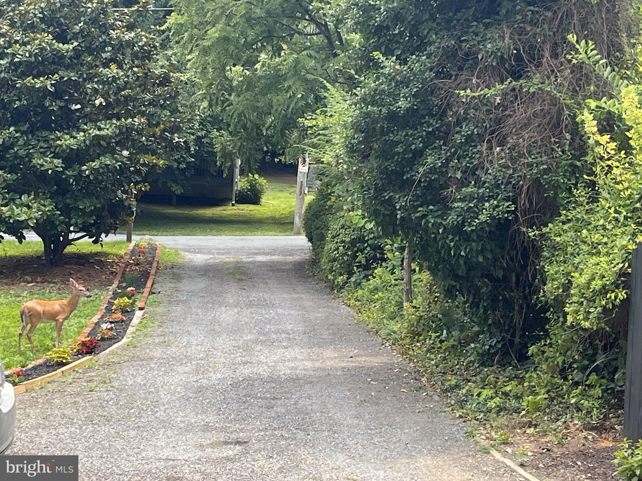 HOLLYWOOD PARK - Residential