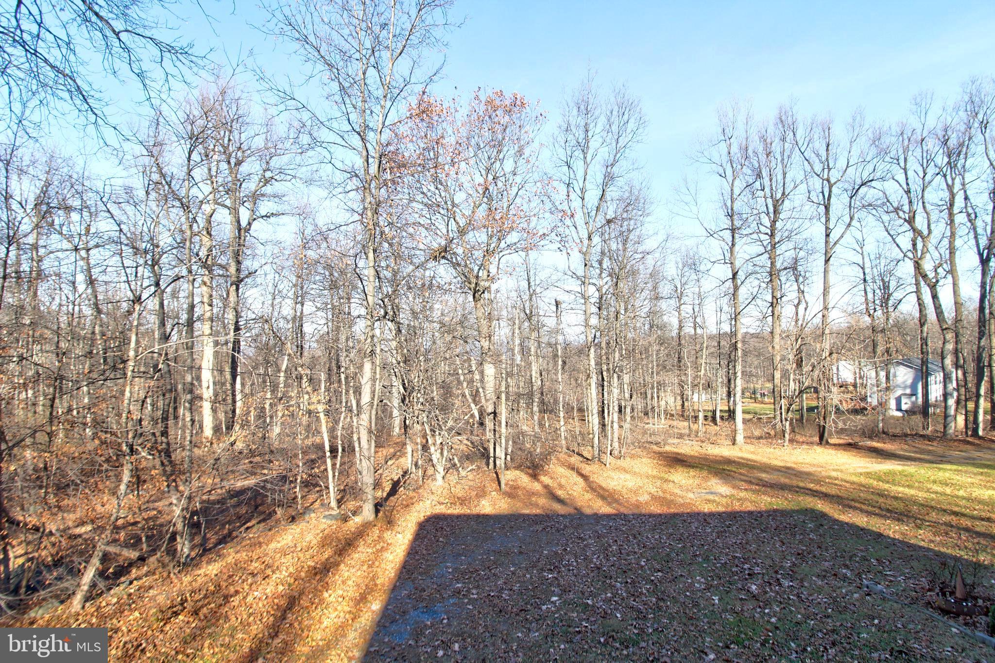 HUNTER LAND - Residential