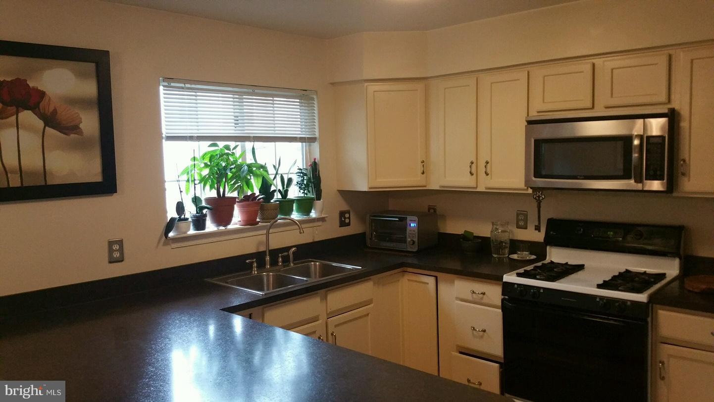 PARADISE - Residential