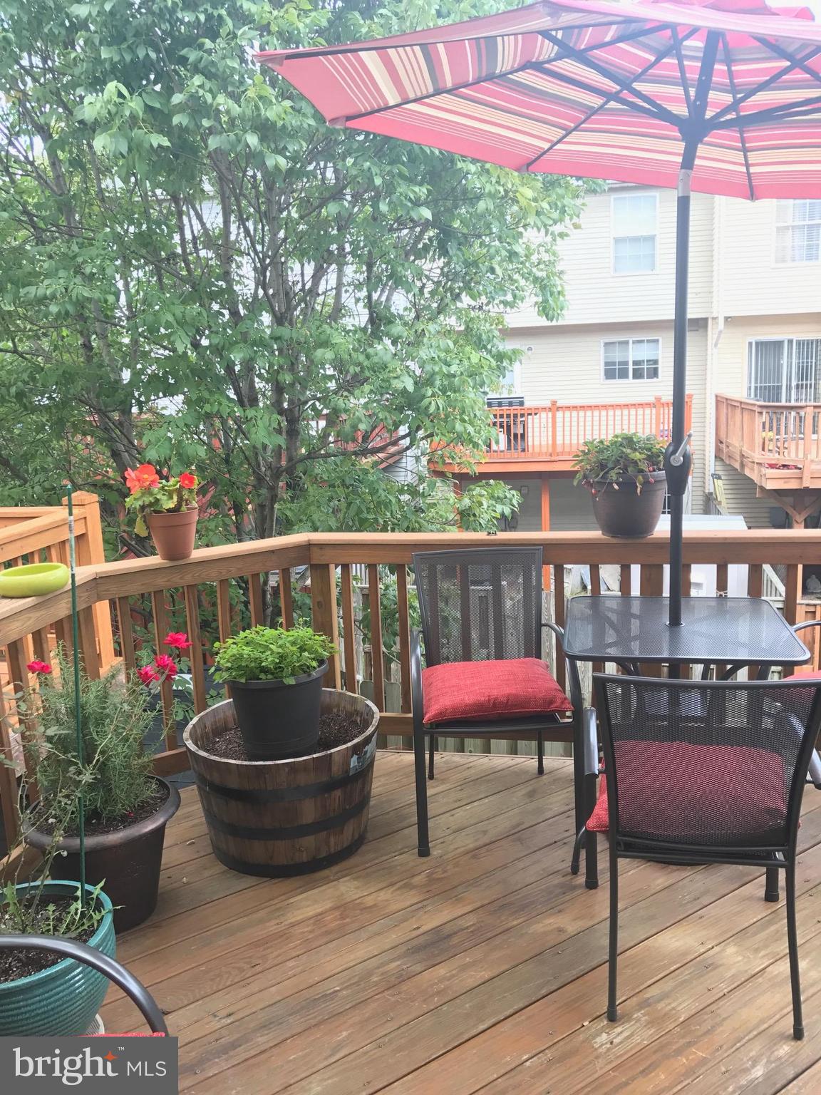 PARADISE - Residential