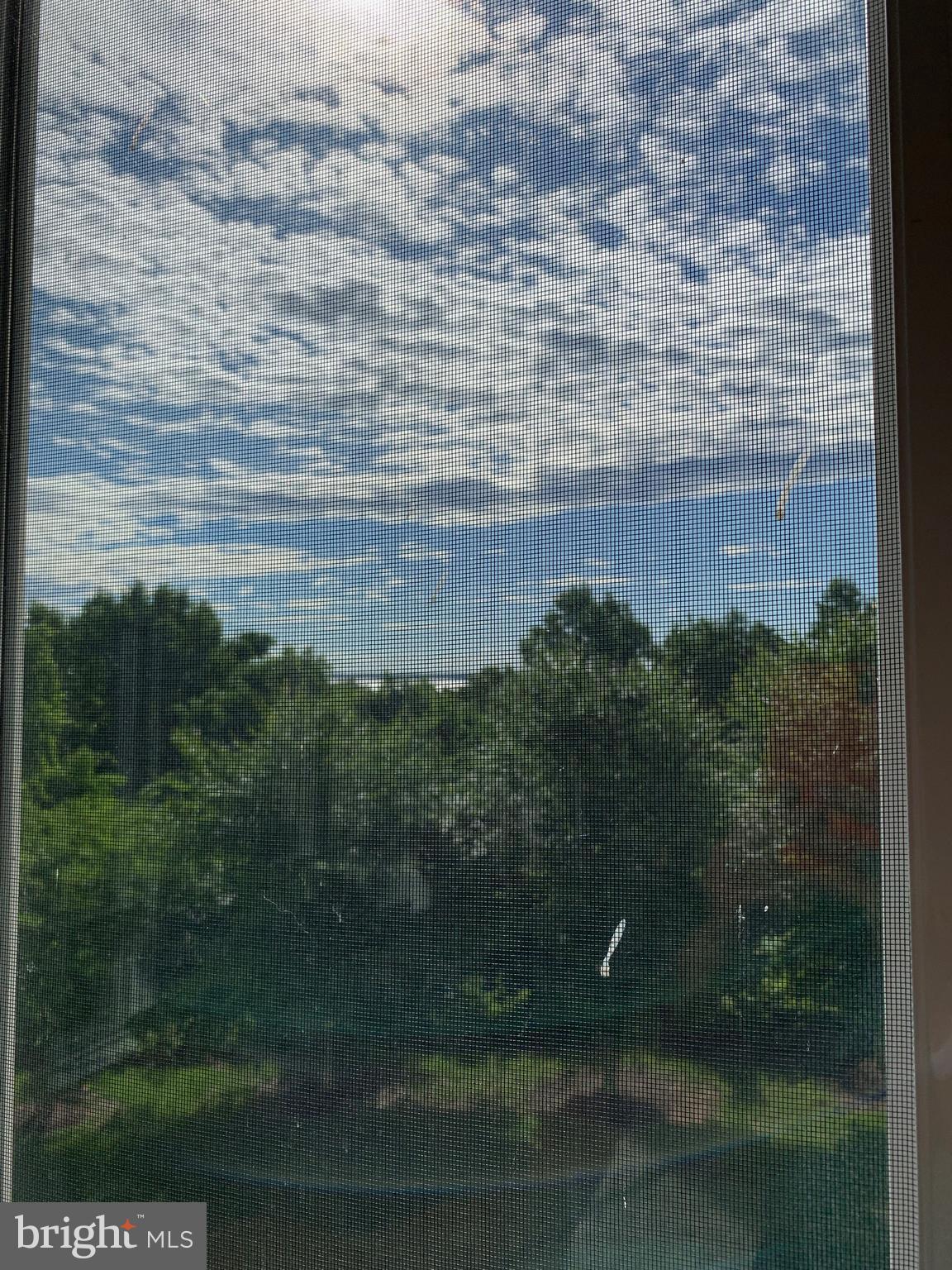 POTOMAC POINTE CONDOMINI - Residential Lease