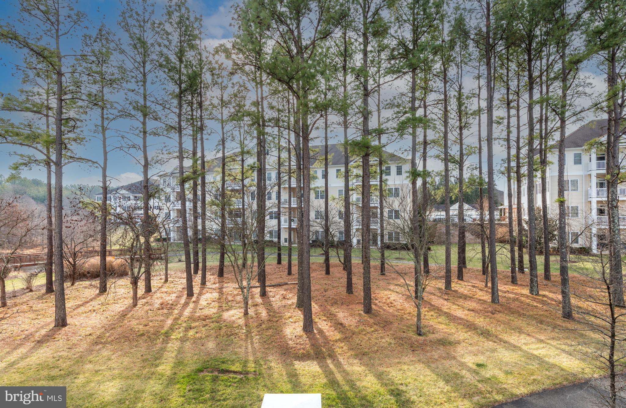 REGENCY AT DOMINION VALLEY - Residential Lease