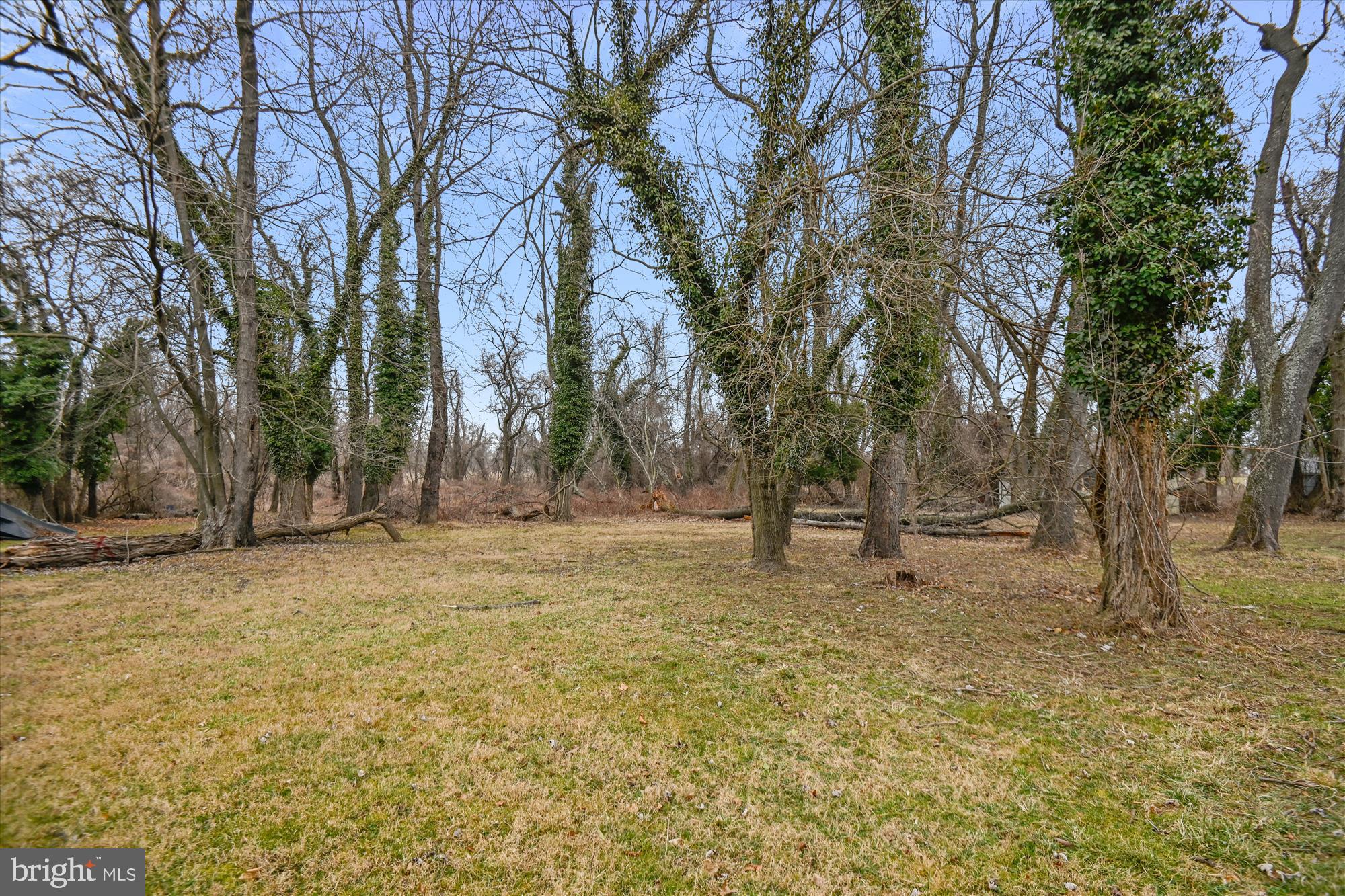 REGULARS - Residential