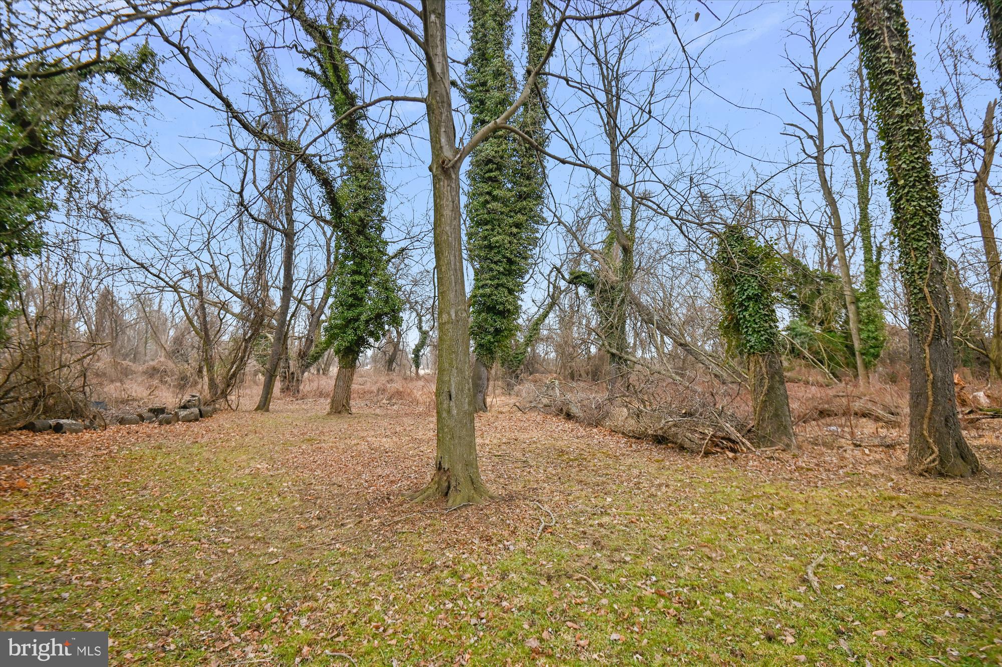 REGULARS - Residential