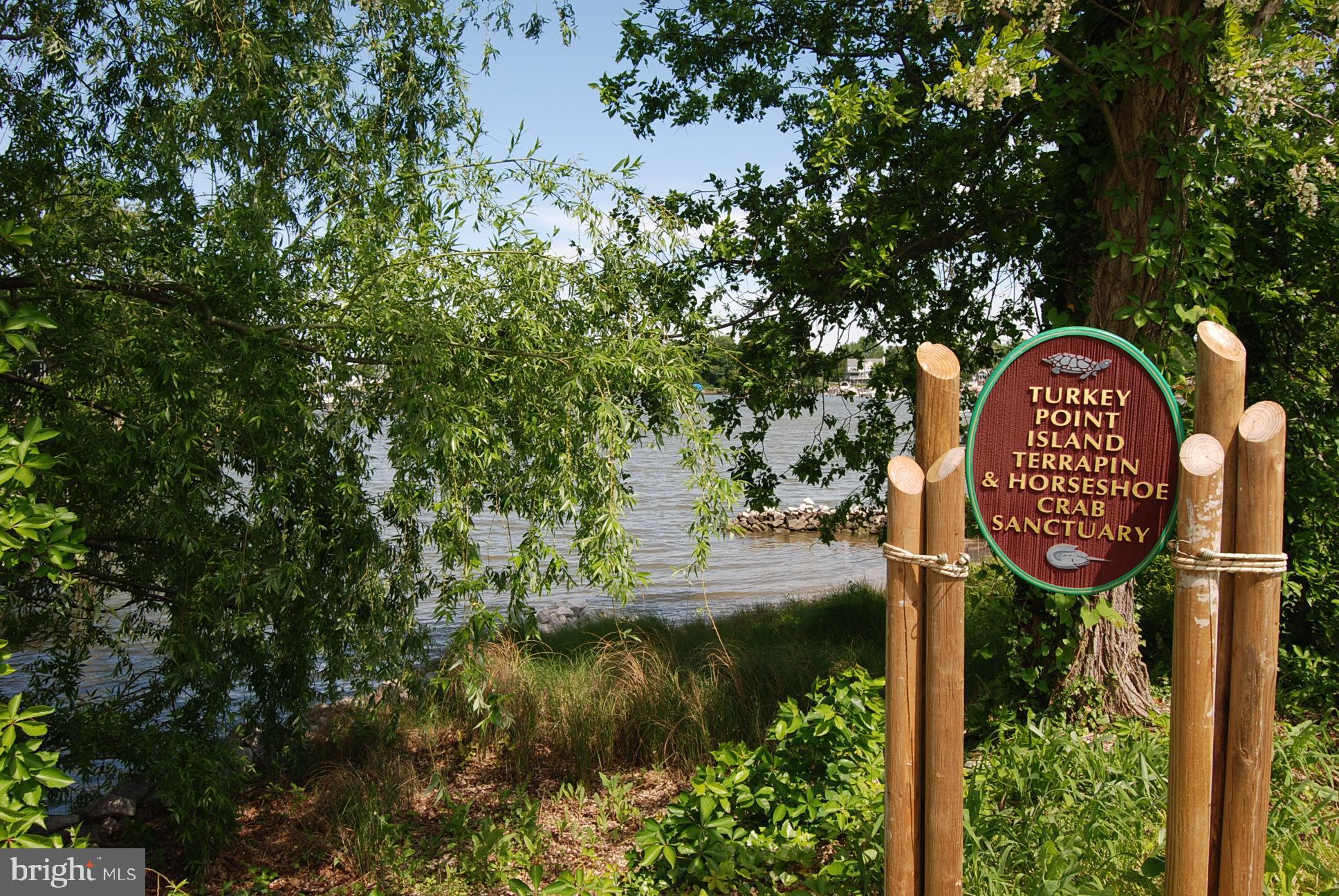 TURKEY POINT - Residential