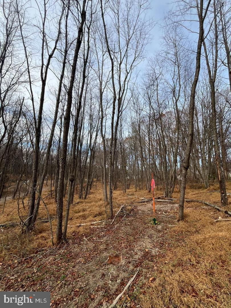 LOT 3D WOODVILLE RD GREENRIDGE