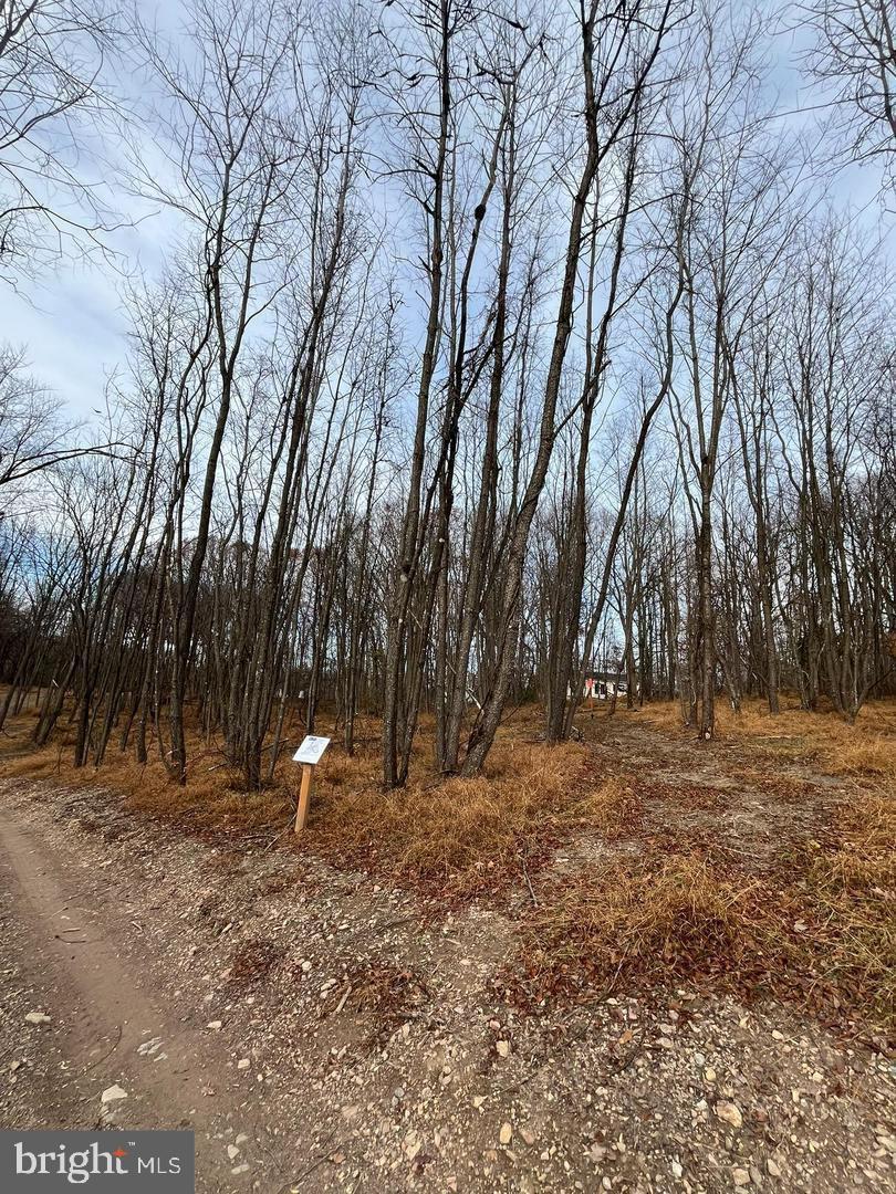 LOT 3D WOODVILLE RD GREENRIDGE