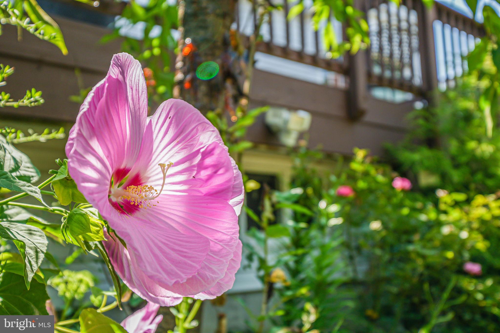 SUMMERWOOD - Residential