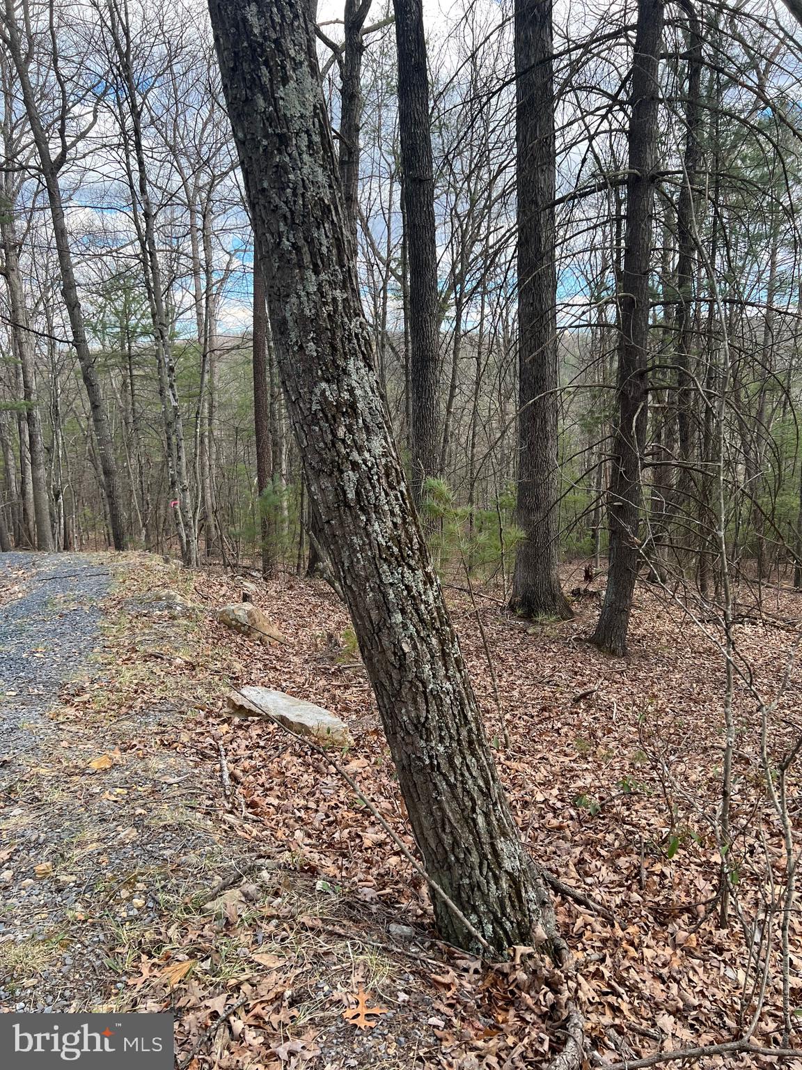 BRYCE  MOUNTAIN  RESORT - Land