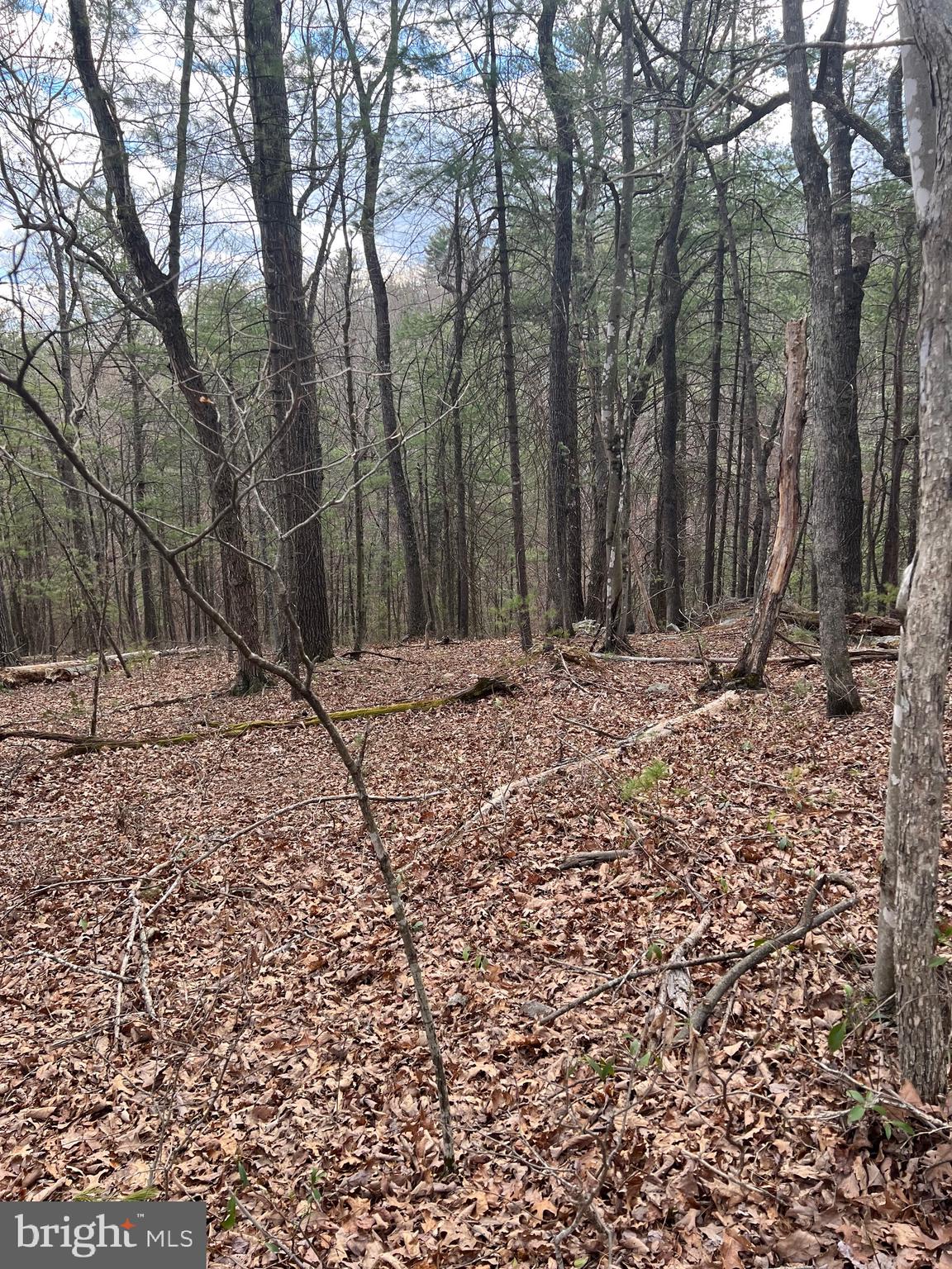 BRYCE  MOUNTAIN  RESORT - Land