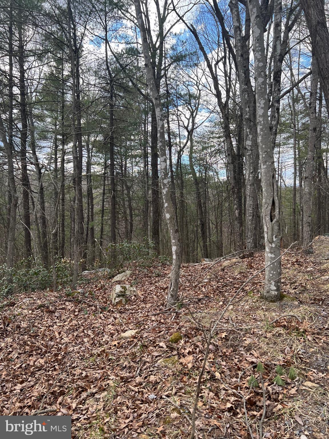 BRYCE  MOUNTAIN  RESORT - Land