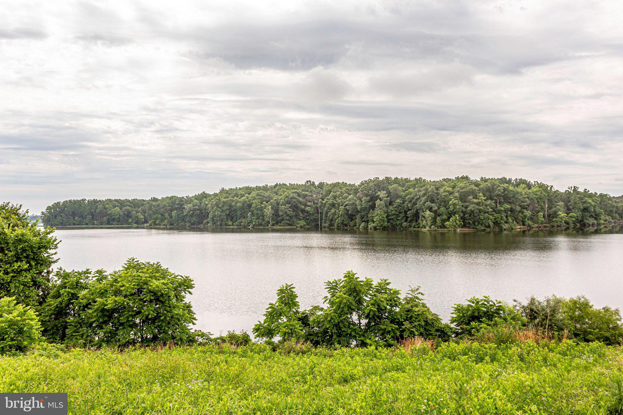 LAKE MANASSAS/TURTLE POINT - Residential