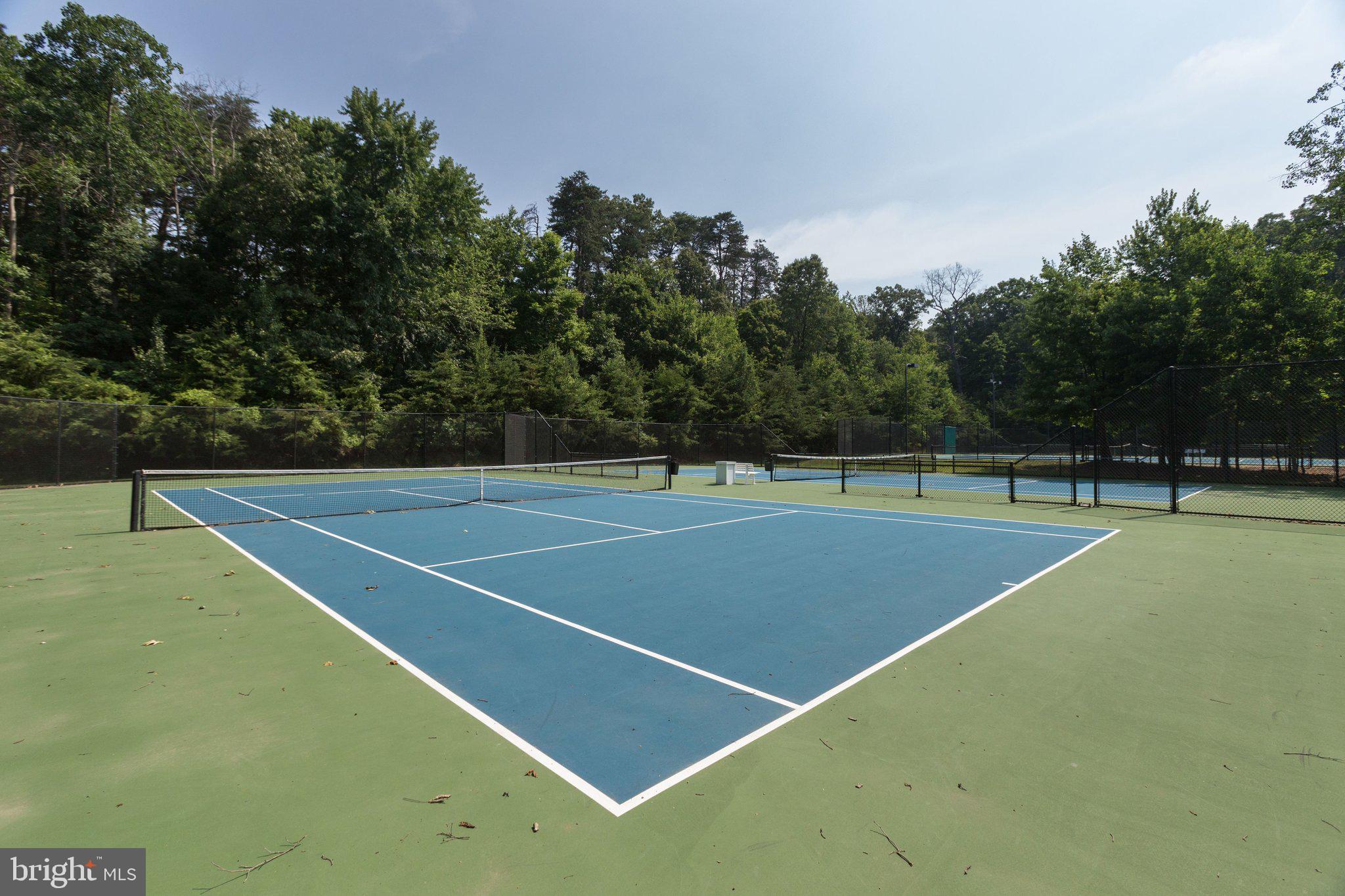 LAKE MANASSAS/TURTLE POINT - Residential