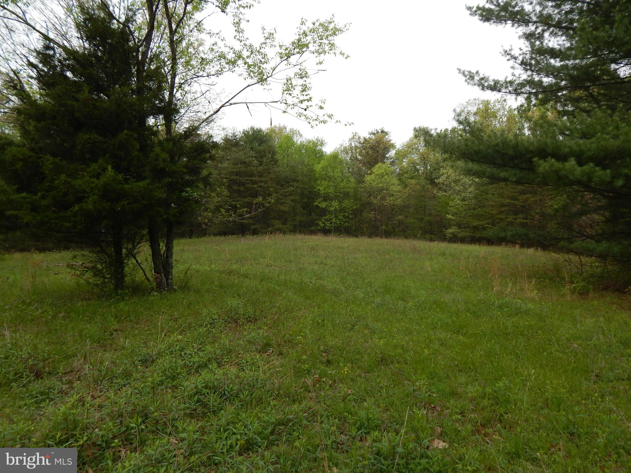 CHESTNUT GROVE - Land