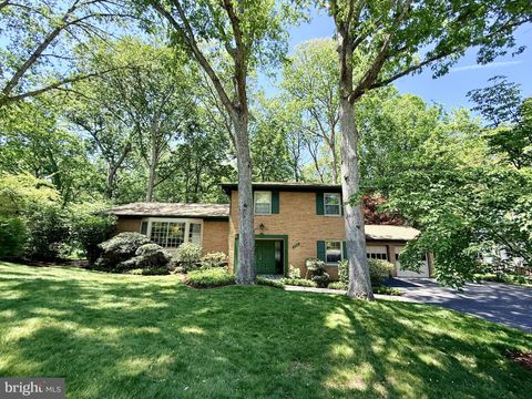12516 DAVAN DRIVE SILVER SPRING MD 20904