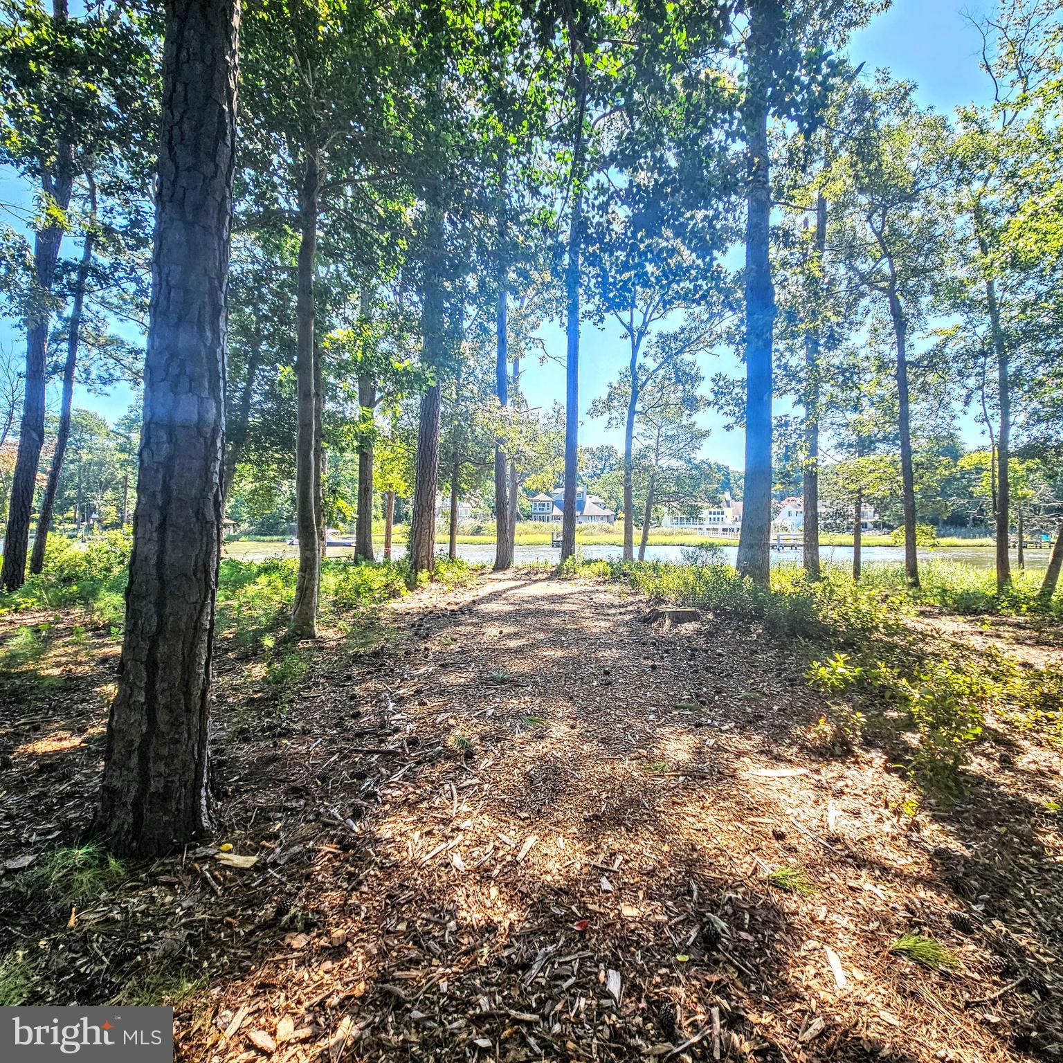 GRANDE AT CANAL POINTE - Residential