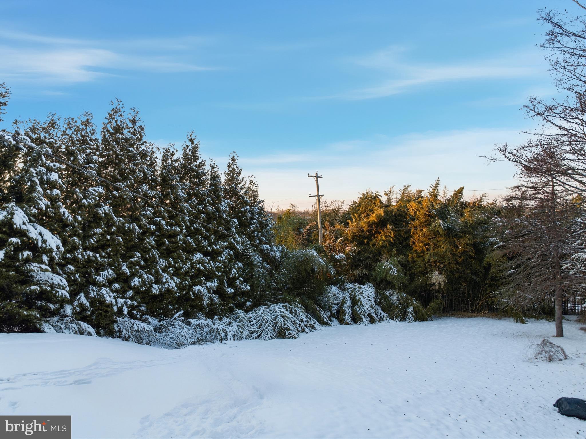 HUNTINGDON VALLEY - Residential