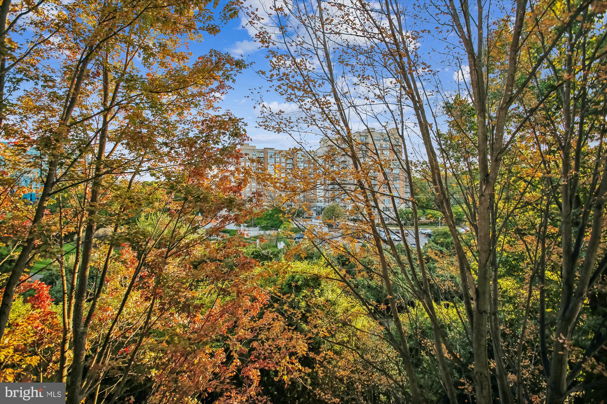 1855 STRATFORD PARK PLACE 312