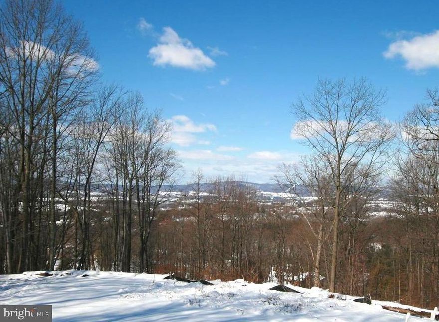 Looking for a million dollar view in Middletown Valley- school district minutes from Frederick City limits and commuter routes? Look no further! Lot offers 3 possible home sites to choose from. Power is run to site, approved well with 15 GPM, driveway is in ready for building. Forest stewardship in place also- so no dealing with FRO easement applications and costs.  VA construction loans with no money down possible, 10% down construction loans available.
Rear corners are marked.