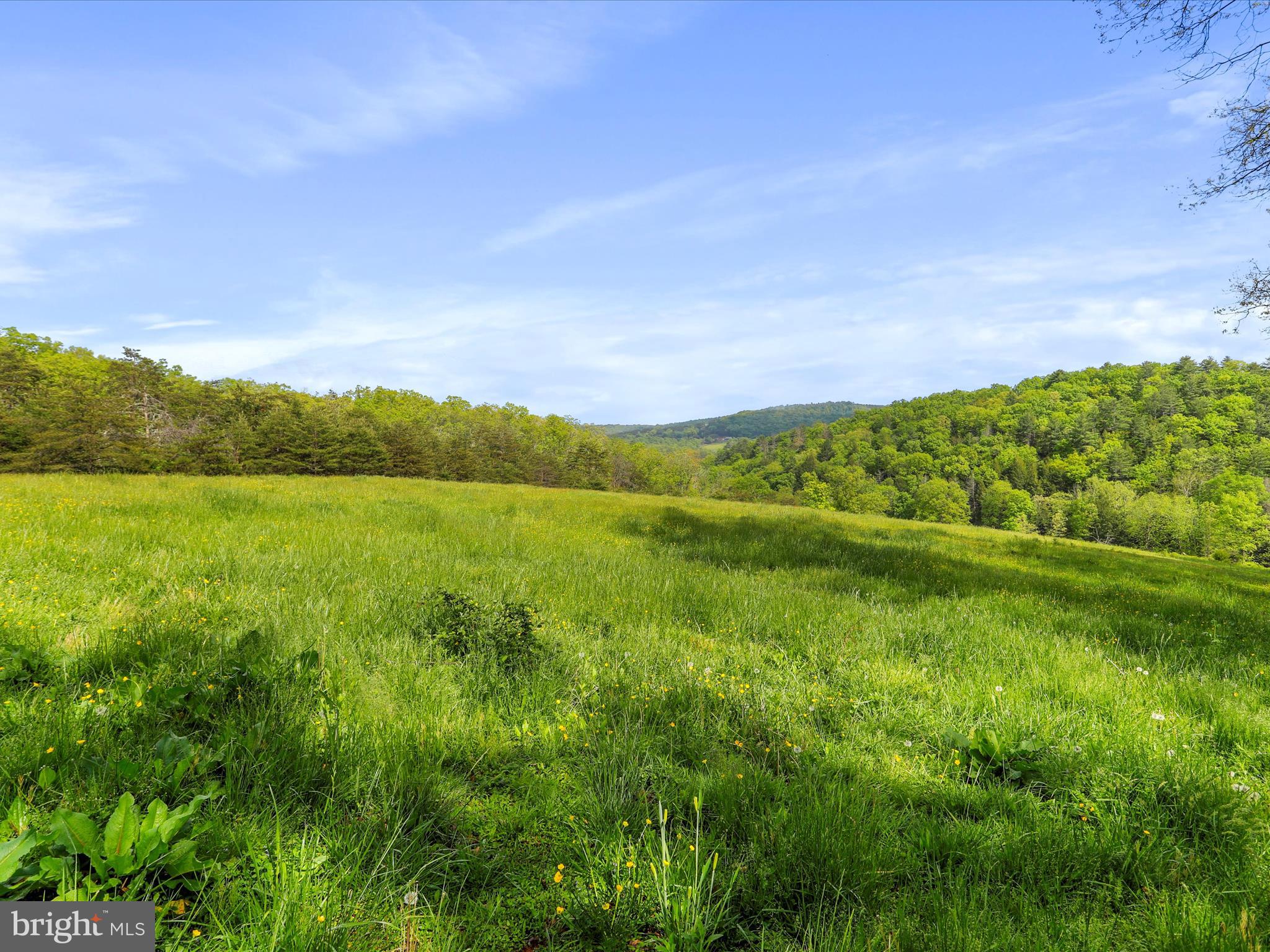 BARNES MILL ESTATES - Residential