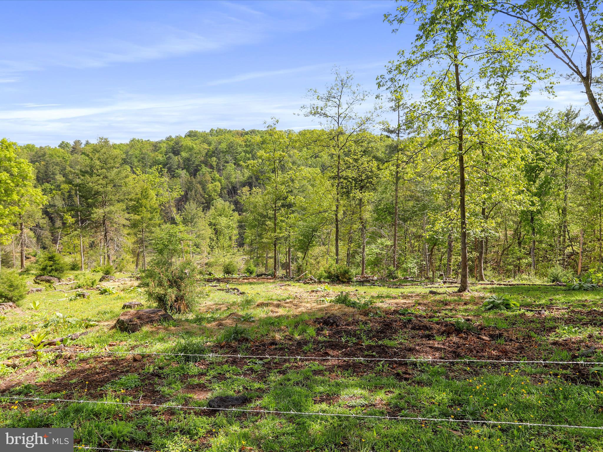 BARNES MILL ESTATES - Residential