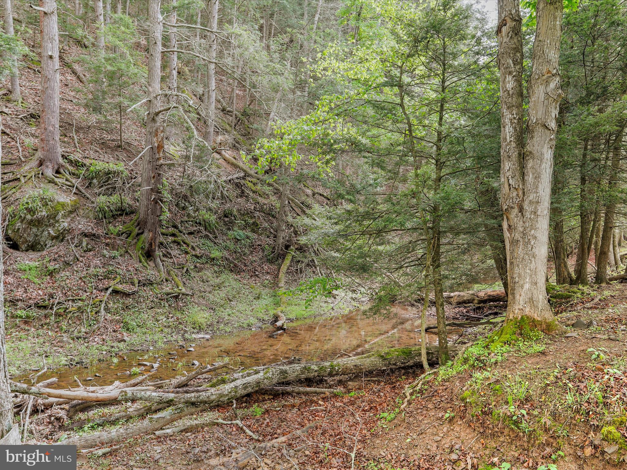 BARNES MILL ESTATES - Residential