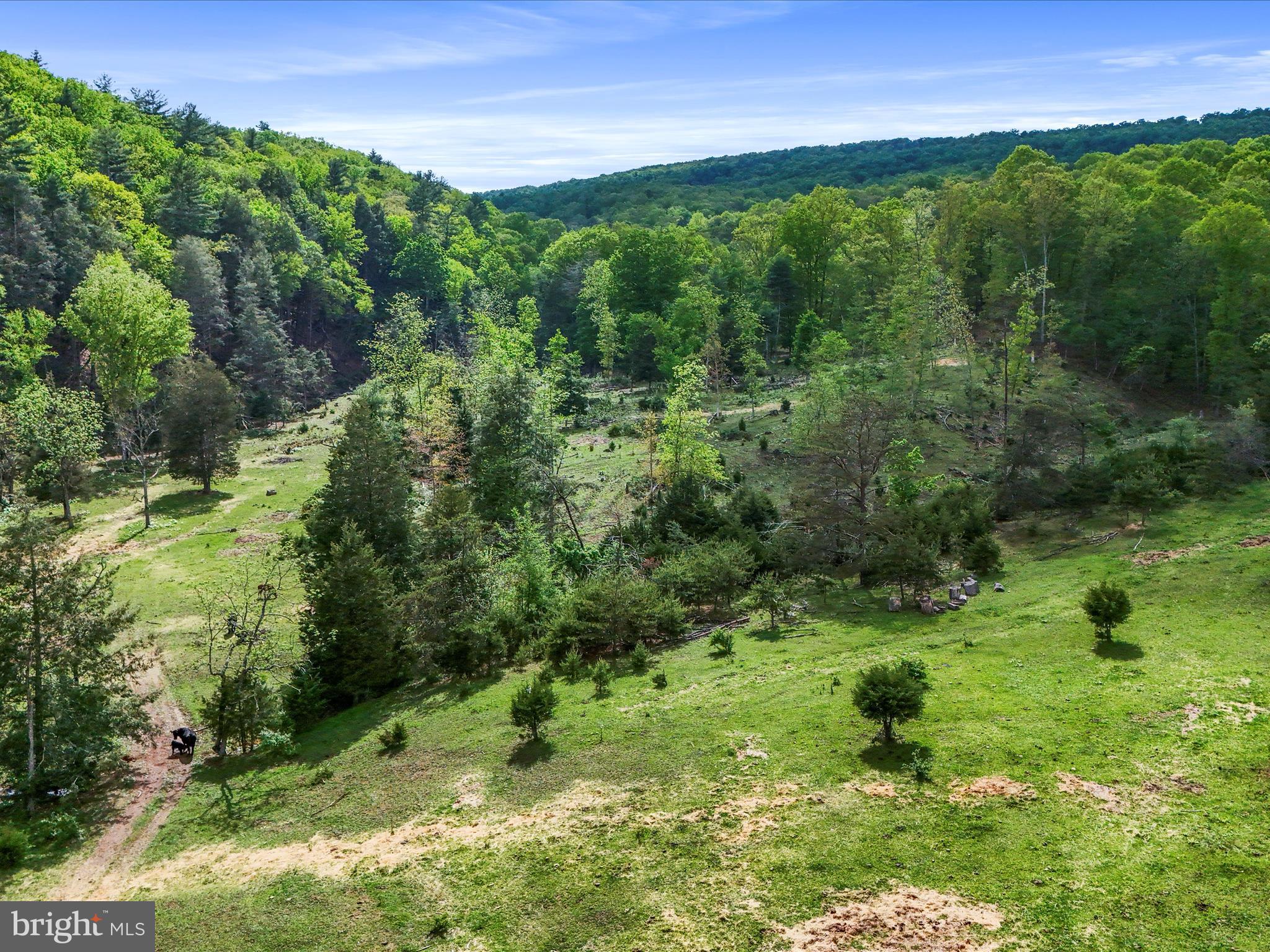BARNES MILL ESTATES - Residential
