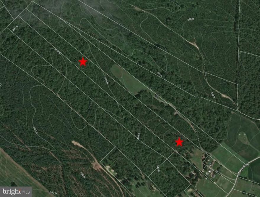 Prime 21.58-Acre Land Parcel in Spotsylvania County, Virginia.

Perfect for homesite, investment, recreation, or development.

Discover and exceptional opportunity to own 21.58 acres of land located in highly desirable Partlow, Spotsylvania County, Virginia. This property offers the ideal combination of privacy, convenience, and potential, making it well-suited for residential construction, agricultural use, recreation retreat, or future development. 

The land features wooded terain with cleared approach, level to gently sloping topography and private deeded access. Currently zoned as forestry land, the parcel has been perked for building your dream home, or create a private recreational getaway. 

Located 15 minutes from I-95 / Route 1 and a short drive to Lake Anna, Spotsylvania Courthouse, Ladysmith and Fredericksburg, you will enjoy rural living with convenient access to shopping, dining, school, and major commuter routes.